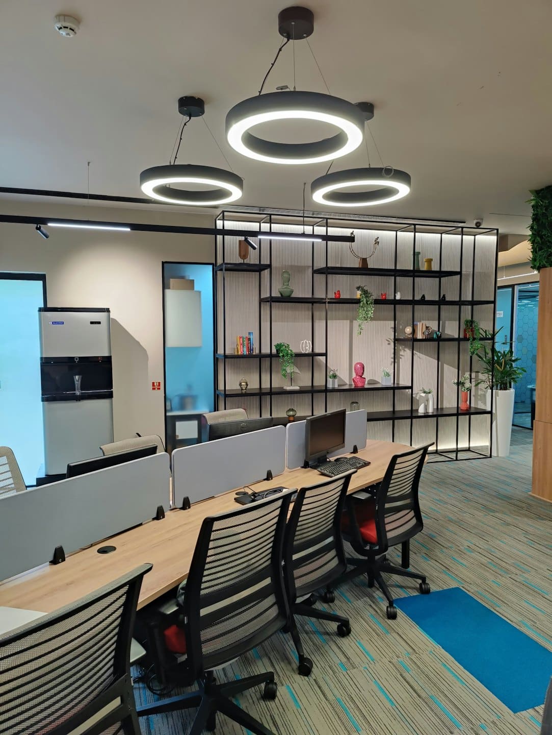Bureaux modernes avec des chaises faisant face à une étagère décorative de plantes.